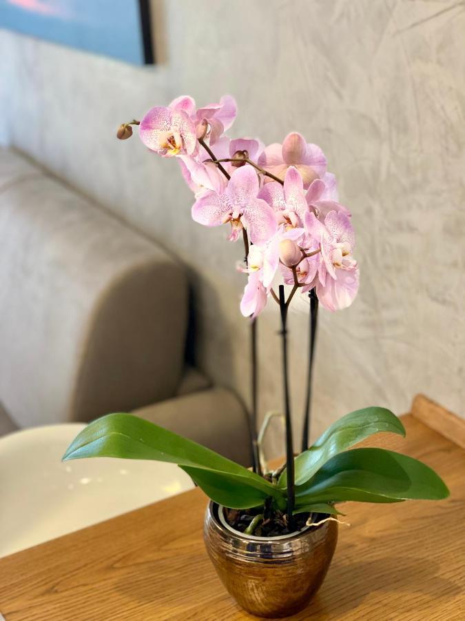 Appartamento Spoleto Valadier Ngoại thất bức ảnh